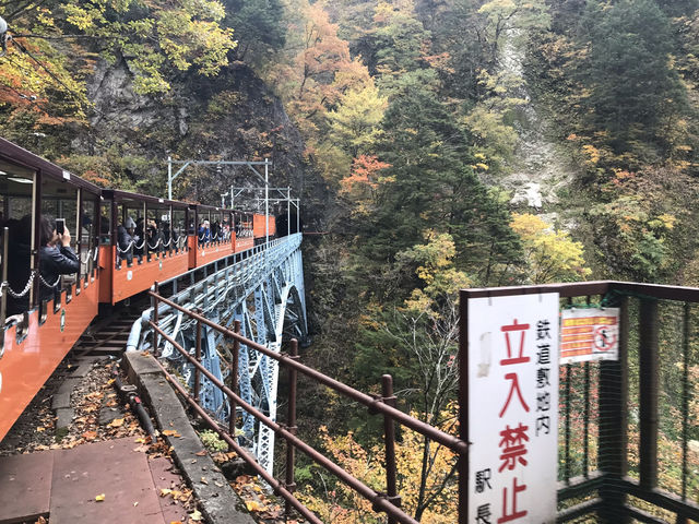 【富山・黒部】トロッコ列車の旅へ！黒部渓谷鉄道・宇奈月駅🚂🍁