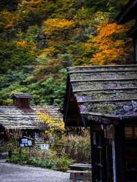 Tsuru-no-yu – สถานที่ที่เราแวะมาเยือนแม้ไม่ได้พัก