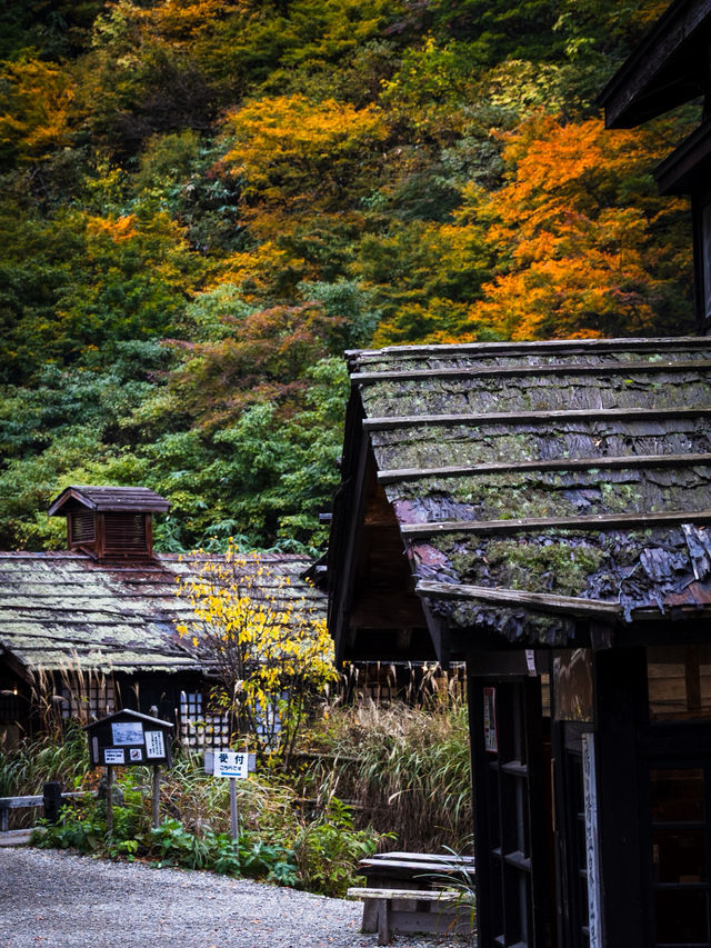 Tsuru-no-yu – สถานที่ที่เราแวะมาเยือนแม้ไม่ได้พัก