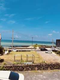 The Iconic Sehwa Coastal Wall and Marketplace