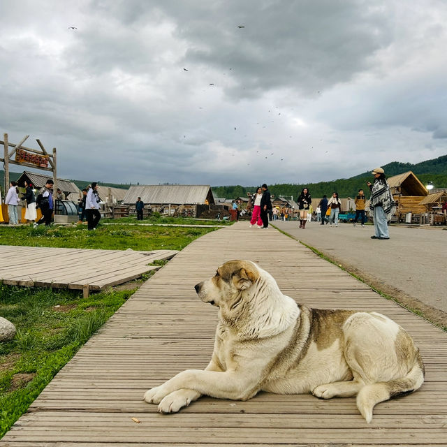 Xinjiang escapade Part 1 - Flaming Mountain (Huoyan Shan) & Hemu Village