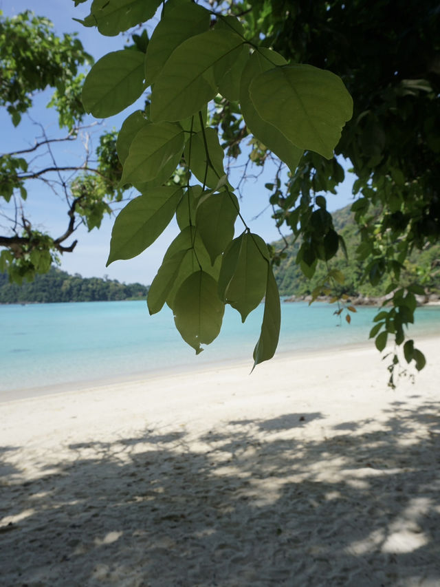 อุทยานแห่งชาติหมู่เกาะสุรินทร์ อุทยานแห่งชาติหมู่เกาะสุรินทร์