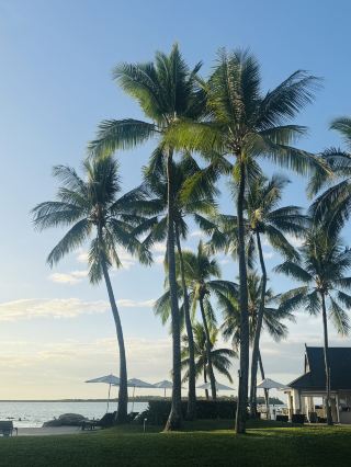 Not your typical Sheraton