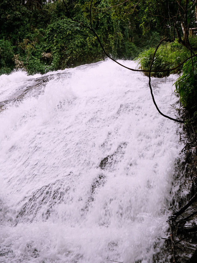 เส้นทางศึกษาธรรมชาติผาดอกเสี้ยว เส้นทางศึกษาธรรมชาติผาดอกเสี้ยว
