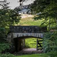Winterthur Museum, Garden & Library