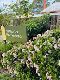 🌿悉尼北區秘境一日遊|離城市最近的「世界公園」