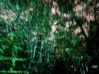 🌸大阪3日間の小旅行🌸