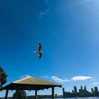 Chill at The Little Banksia: คาเฟ่น่านั่งในออสซี่