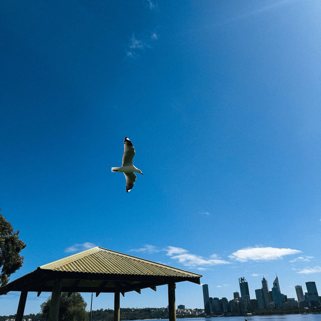 Chill at The Little Banksia: คาเฟ่น่านั่งในออสซี่