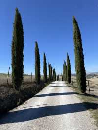 토스카나, 햇살과 언덕이 빚어낸 황금빛 풍경의 땅