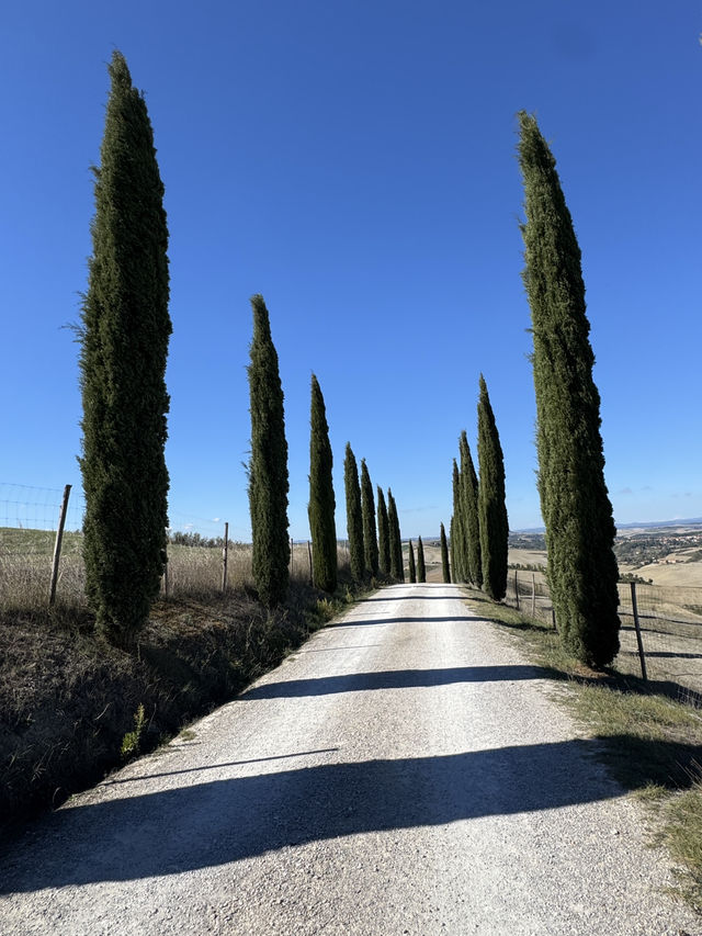 토스카나, 햇살과 언덕이 빚어낸 황금빛 풍경의 땅