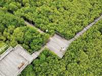 ทุ่งโปรงทอง ระยอง