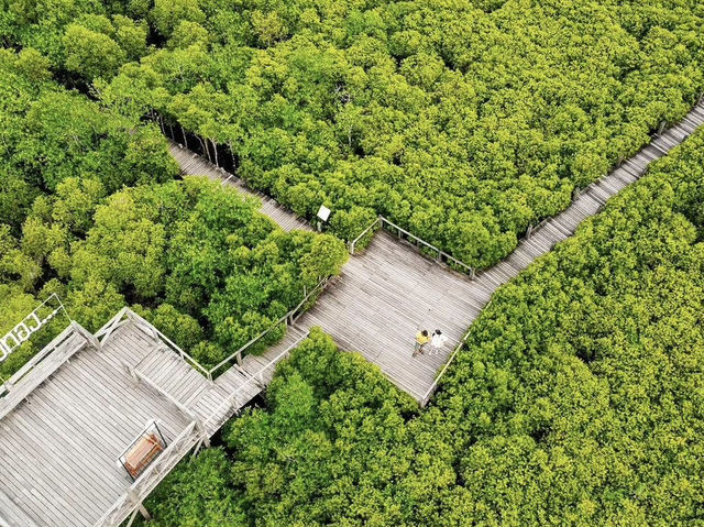 ทุ่งโปรงทอง ระยอง ทุ่งโปรงทอง ระยอง