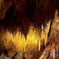 Waitomo Glowworm Caves