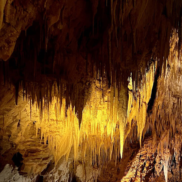 Waitomo Glowworm Caves