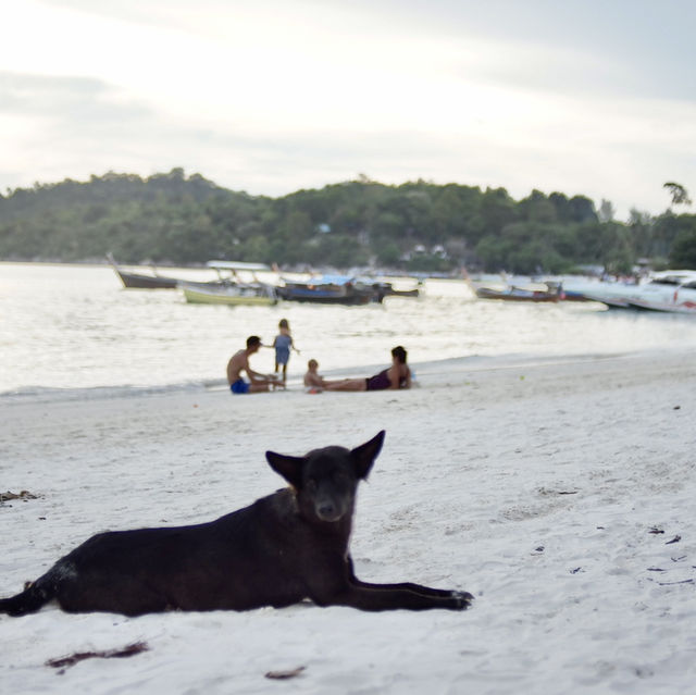 🏝️ เกาะหลีเป๊ะ มันเป๊ะมาก🌈 🏝️ เกาะหลีเป๊ะ มันเป๊ะมาก🌈