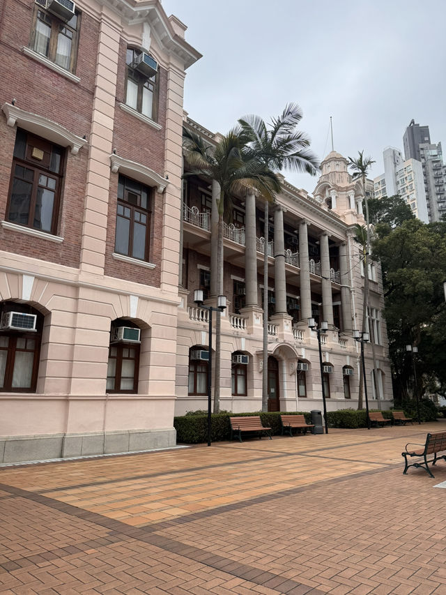 Campus Daydream☀️  