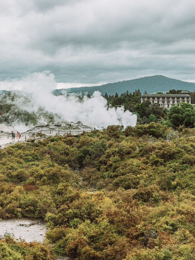 🌋紐西蘭11月秘境•Te Puia地熱谷・睇波胡圖間歇噴泉噴發震撼景觀！