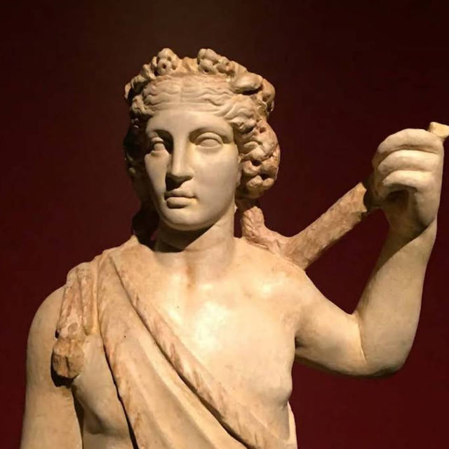 Museu de Prehistòria de València – Tracing the Origins of Humanity in Valencia