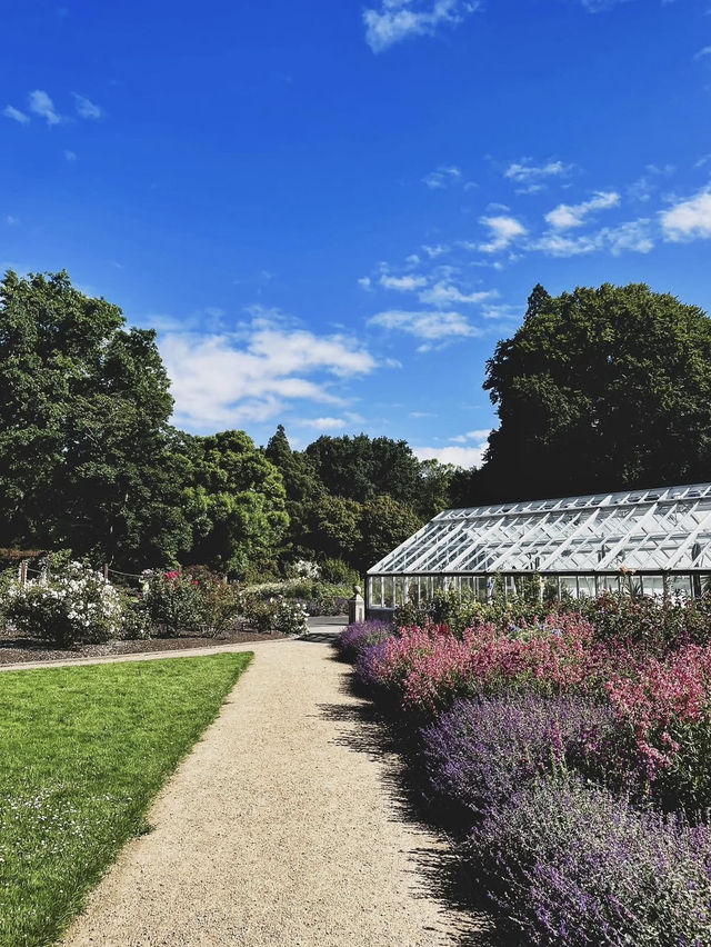 11月紐西蘭超Chill景點🌸 但尼丁植物園深度遊