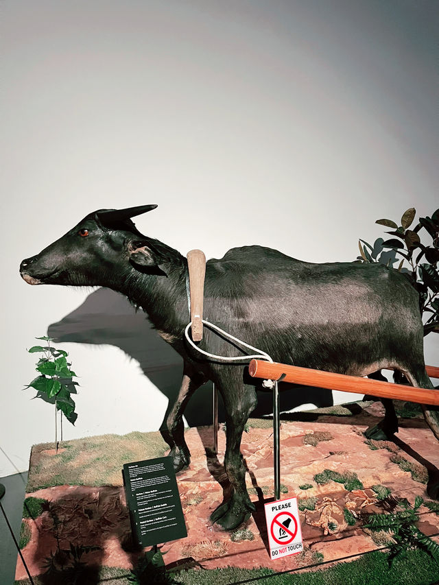 Borneo Cultures Museum: Stories of People, Craft, and Tradition