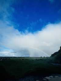 Northern Lights Tripcom✨