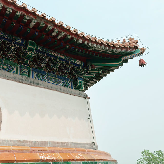 Summer Palace Stroll 🌞 Summer Palace Stroll 🌞
