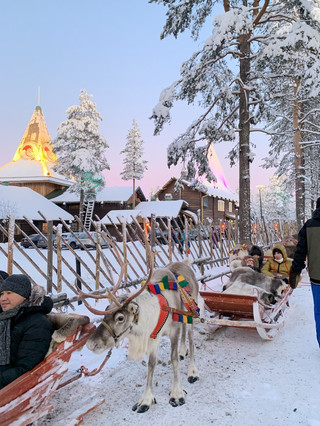 🇫🇮芬蘭|聖誕老人村 芬蘭聖誕老人村的夢幻麋鹿雪橇