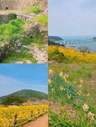 The Island Guided by the Wind