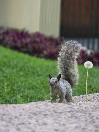 リマでボリビアビザ申請の超詳細ガイド