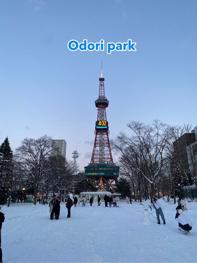Sapporo odori park ช่วงหน้าหนาว