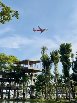 Treehouse Cafe Uat Chum