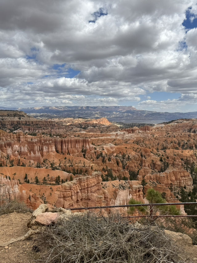 라스베가스 여행 그랜드캐년 투어
