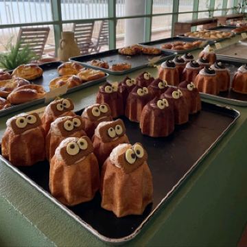 beautiful view and vibe