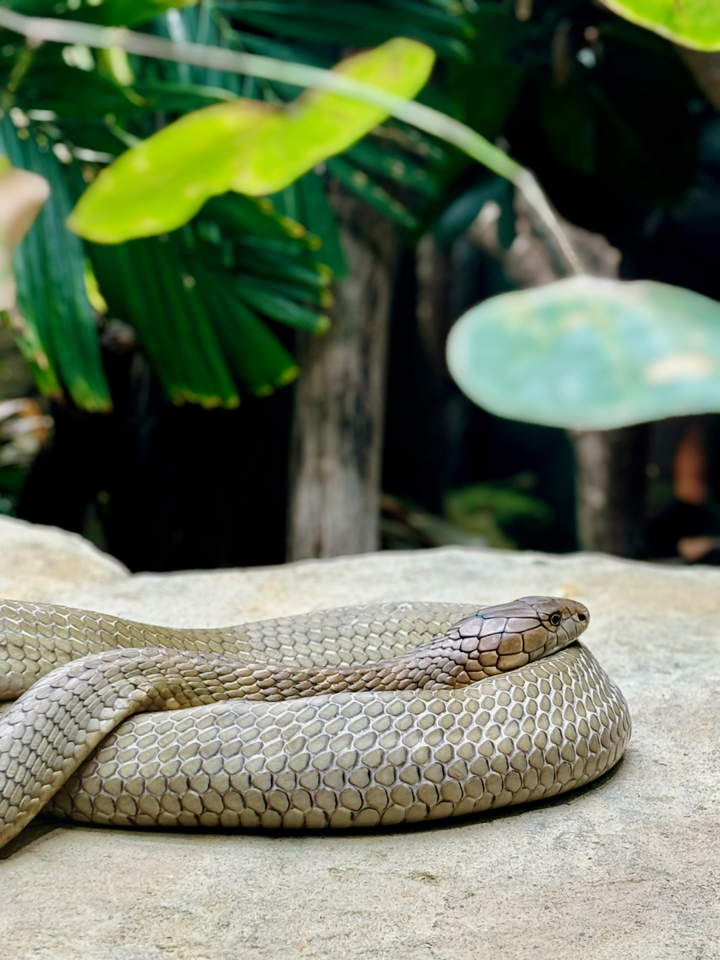 如何前往倫敦動物園——在城市中心度過與野生動物的一天