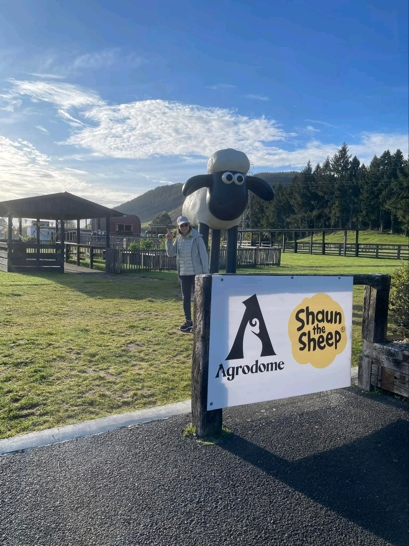 A Must-Visit in New Zealand's North Island! Agrodome: Alpaca "Spit Fights," Adorable Sheep Shows, and a Family Paradise