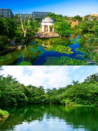 A Tropical Plant Paradise, Bios no Oka.