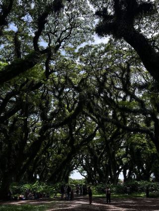 East Java's Lord of the Rings Fantasy World.