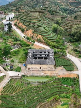 🍃 A Tulou Built for Tea — Yingbao Lou, Anxi