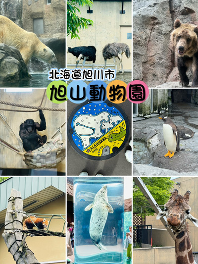 Asahiyama Zoo in Hokkaido: A Miraculous Animal Paradise Revived