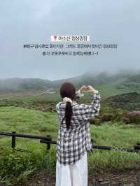 🚗 쿠마모토에서 렌터카 여행을 떠난 이유 🌿