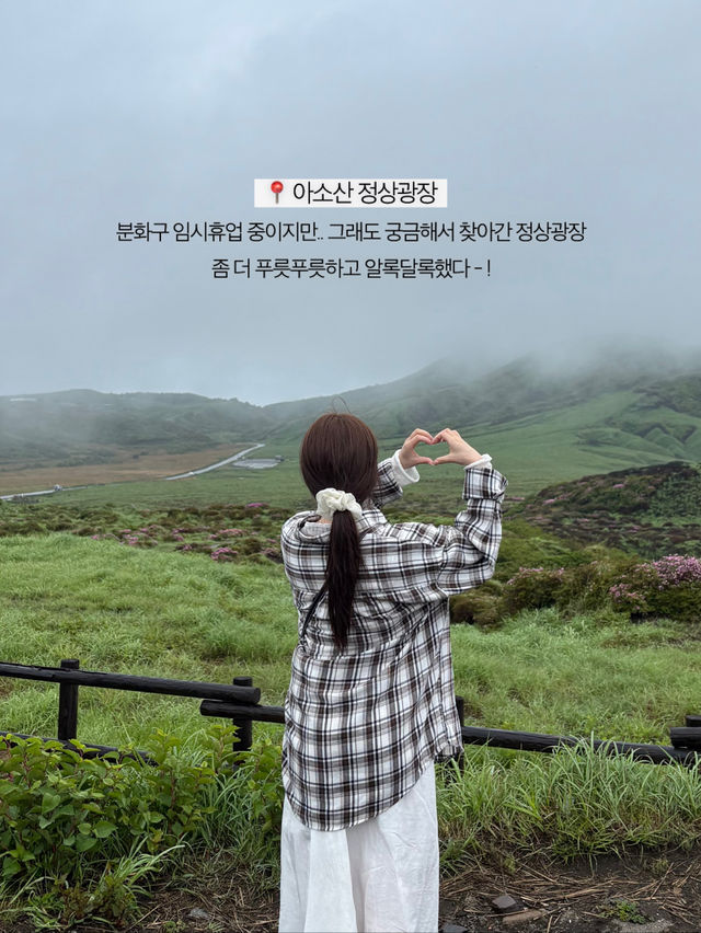 🚗 쿠마모토에서 렌터카 여행을 떠난 이유 🌿