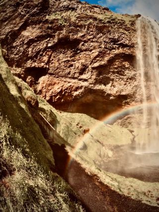 Chile Magallanes Bahía Murray Mossy Fjord Forest Traileasytravelpost #BahiaMurray #FjordForestTrail