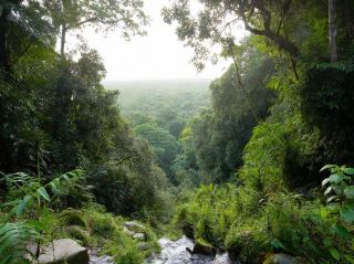 Deep Into the Amazon Wilderness
