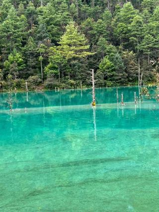 💎 A Hidden Gem of Turquoise Serenity