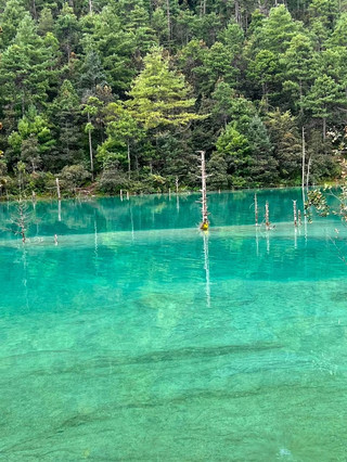💎 A Hidden Gem of Turquoise Serenity