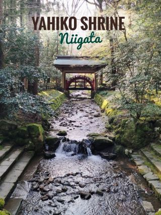 Yahiko Shrine (Niigata) ศาลเจ้าอันศักดิ์สิทธิ์แห่งจังหวัดนีงาตะ