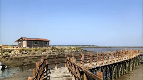 Moinho de Maré da Mourisca, Portugal 🇵🇹
Moinho de Maré da — traveler post in Setubal District