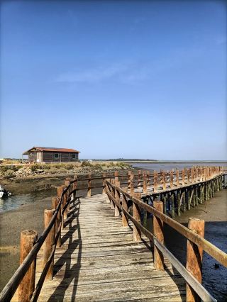 Moinho de Maré da Mourisca, Portugal 🇵🇹

Moinho de Maré da Mourisca is a historic tidal mill located in Herdade da Mourisca, near Setúbal, within the beautiful Sado Estuary Nature Reserve.

Built around the 17th century, the mill used the natural rise and fall of the tides to power its machinery and grind grain. Today, it is an important example of Portugal’s traditional tidal-mill heritage, surrounded by peaceful wetlands and rich wildlife.

🌊 What makes it special?

· Historic tidal mill powered by the movement of the Sado’s waters
· Located in a beautiful protected wetland landscape
· Excellent place for birdwatching—flamingos, herons and many migratory birds can be seen in the estuary
· Wooden walkways and peaceful trails around the wetlands
· Beautiful reflections, sunsets and traditional Portuguese scenery
· A great combination of history, nature and photography

📍 Location: Herdade da Mourisca, Setúbal, Portugal
🌿 Nearby: Sado Estuary, Setúbal, Serra da Arrábida
