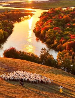 🍂 I Keep Telling Everyone: Autumn in the Greater Khingan Mountains Is Breathtaking 🍂
